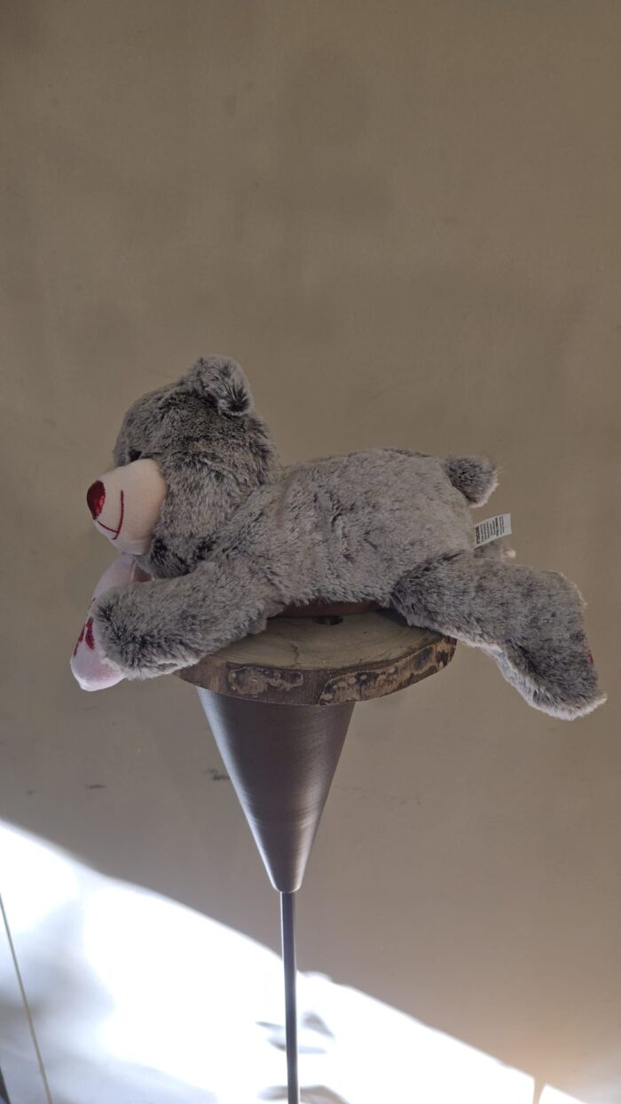 Amor de Peluche - Imagen 2