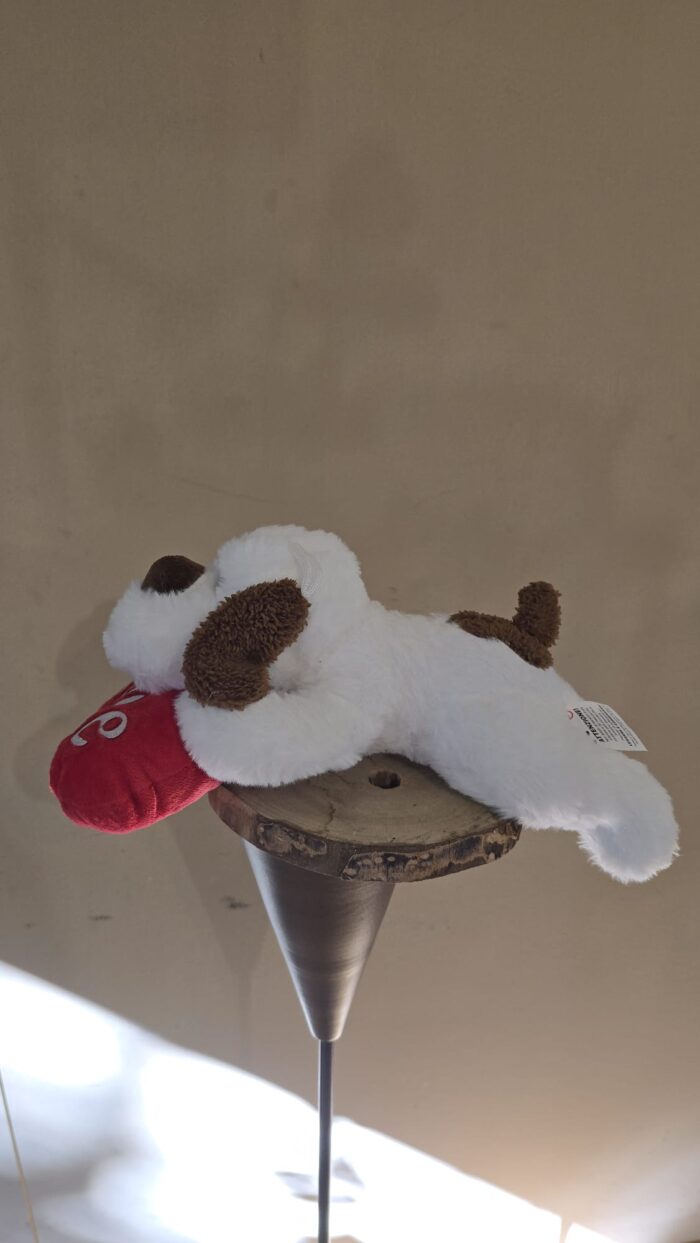 Perrito Amoroso - Imagen 2