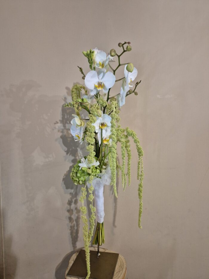 Sueño de Orquídeas Nº RN21